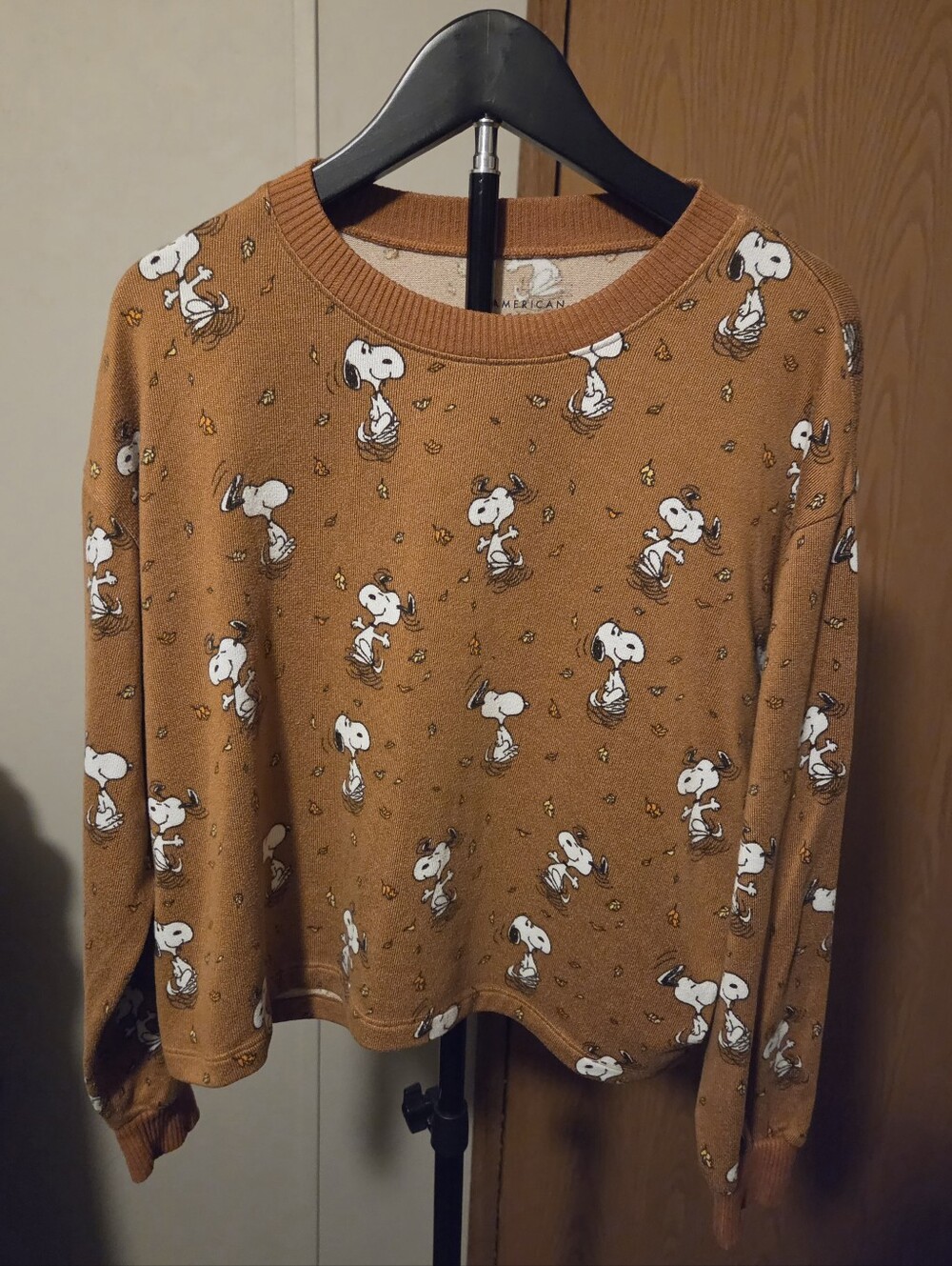 Amerian Eagle Rust Brown Snoopy Graphic Crewneck Sweater